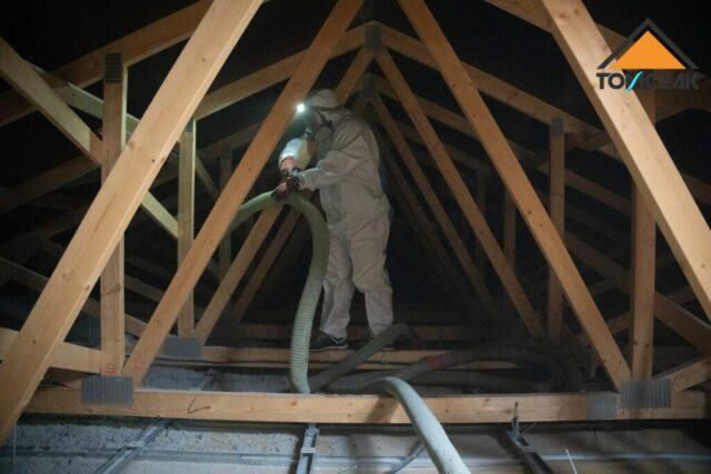 Celuloza wdmuchiwana