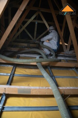 Celuloza wdmuchiwana