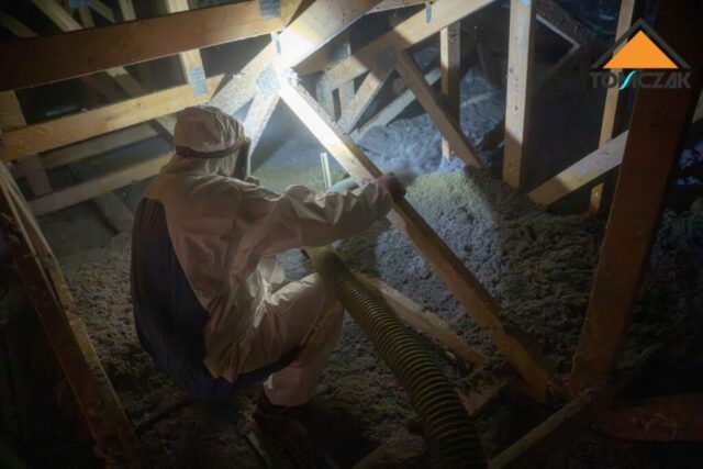 Celuloza wdmuchiwana